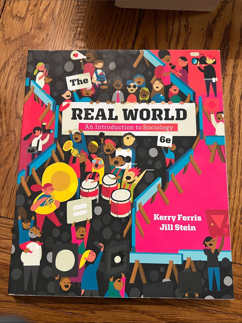 Real World: An Introduction to Sociology (Pink Cover)